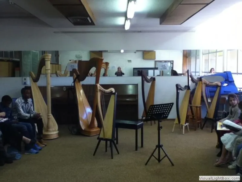 Harp ensemble at Festival 2016