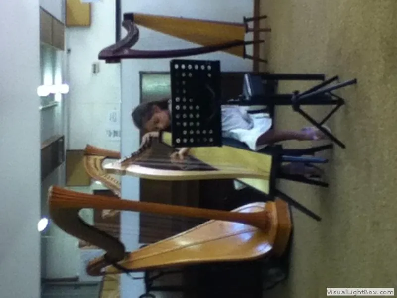 Harp performance 2016