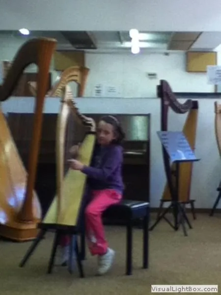 Harpist at the festival