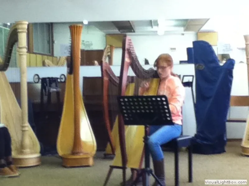 Festival strings section