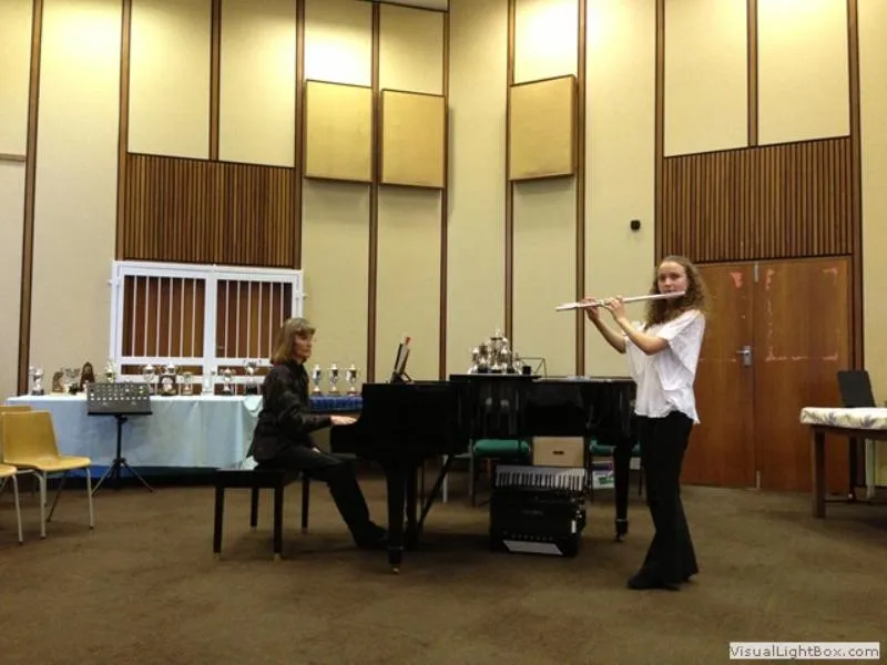 Singer at the 2016 festival