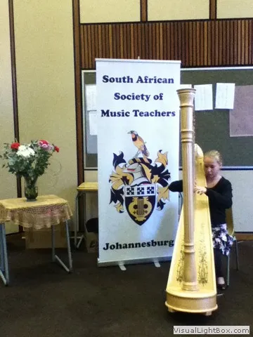 Performance at the festival