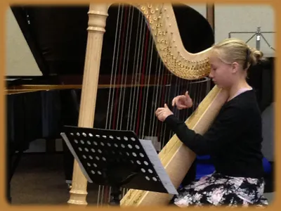 Harpist performing at the festival
